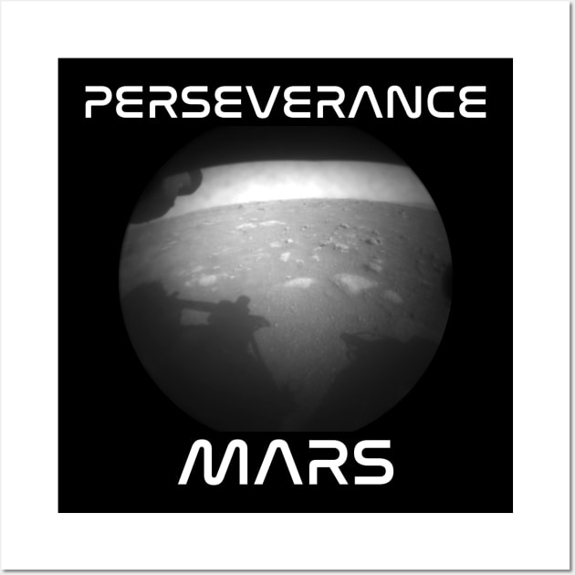 Perseverance Mars Rover First Picture Wall Art by Seaside Designs